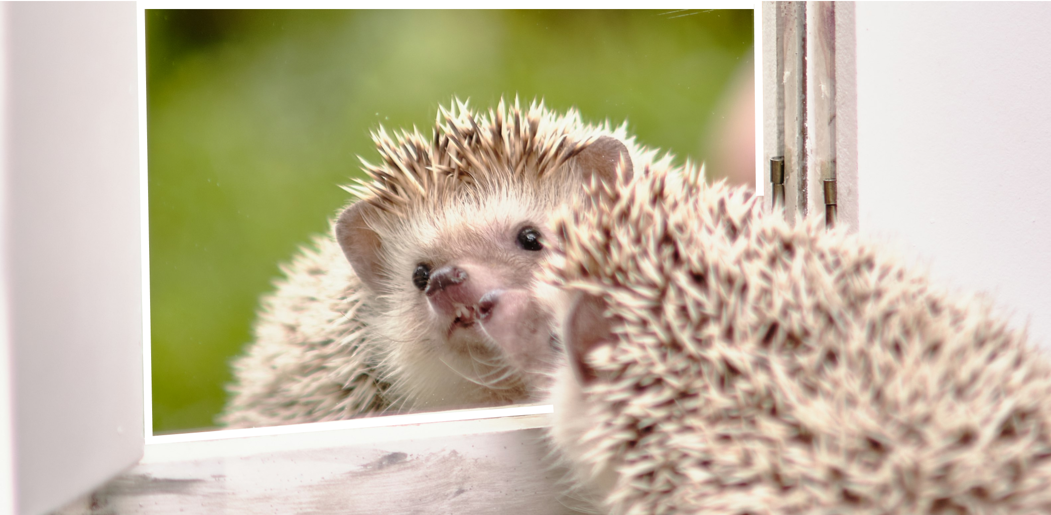 Нюансы ипотечного кредитования: как приобрести дом в сельской местности